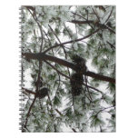 Underneath the Snow Covered Pine Tree Winter Photo Notebook