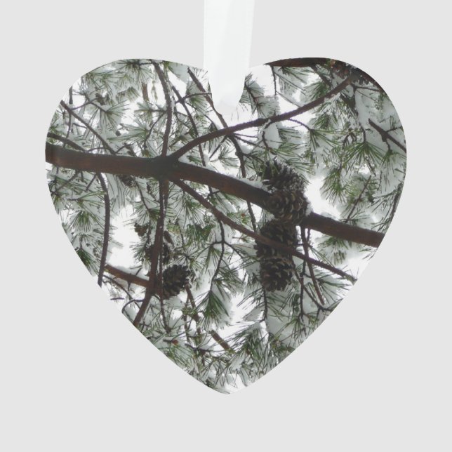 Underneath the Snow Covered Pine Tree Winter Photo Ornament (Back)