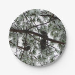 Underneath the Snow Covered Pine Tree Winter Photo Paper Plates