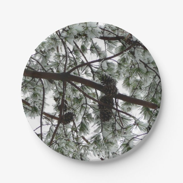 Underneath the Snow Covered Pine Tree Winter Photo Paper Plates (Front)
