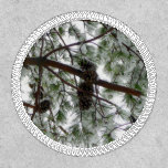 Underneath the Snow Covered Pine Tree Winter Photo Patch