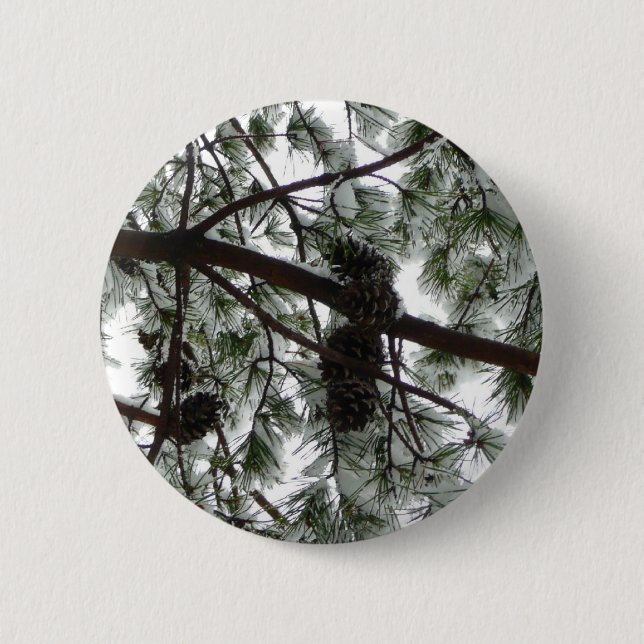 Underneath the Snow Covered Pine Tree Winter Photo Pinback Button (Front)