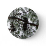 Underneath the Snow Covered Pine Tree Winter Photo Pinback Button