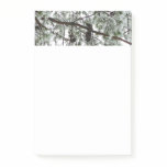 Underneath the Snow Covered Pine Tree Winter Photo Post-it Notes