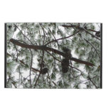 Underneath the Snow Covered Pine Tree Winter Photo Powis iPad Air 2 Case