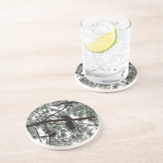 Underneath the Snow Covered Pine Tree Winter Photo Sandstone Coaster