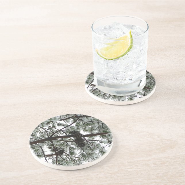 Underneath the Snow Covered Pine Tree Winter Photo Sandstone Coaster (Side)