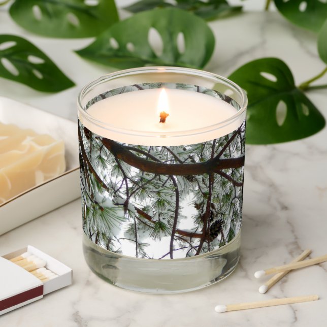 Underneath the Snow Covered Pine Tree Winter Photo Scented Candle (Lit)