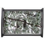 Underneath the Snow Covered Pine Tree Winter Photo Serving Tray