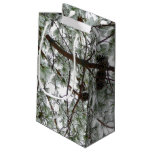 Underneath the Snow Covered Pine Tree Winter Photo Small Gift Bag