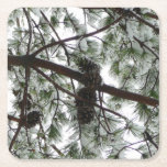 Underneath the Snow Covered Pine Tree Winter Photo Square Paper Coaster