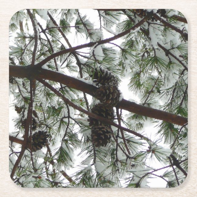 Underneath the Snow Covered Pine Tree Winter Photo Square Paper Coaster (Front)