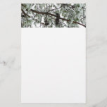 Underneath the Snow Covered Pine Tree Winter Photo Stationery