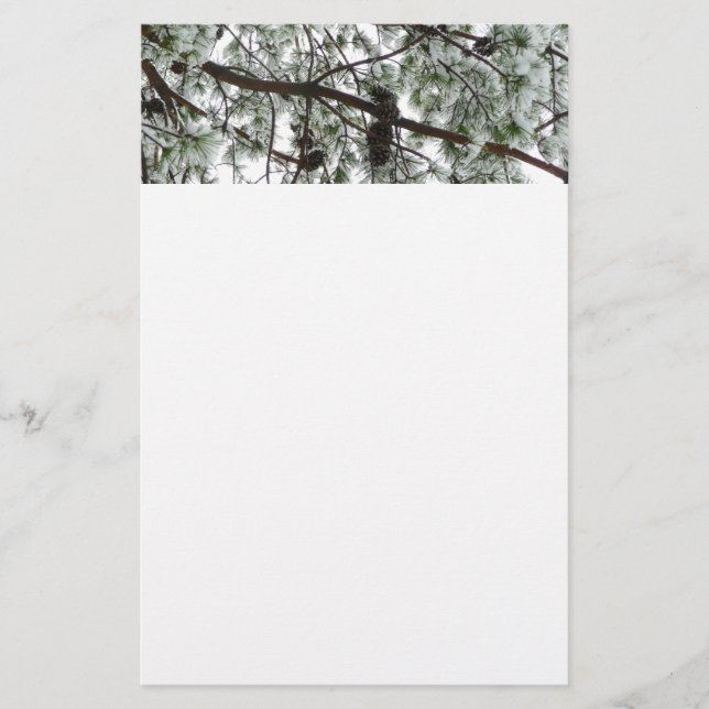 Underneath the Snow Covered Pine Tree Winter Photo Stationery (Front)