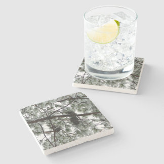 Underneath the Snow Covered Pine Tree Winter Photo Stone Coaster