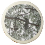 Underneath the Snow Covered Pine Tree Winter Photo Sugar Cookie