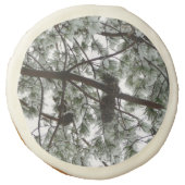 Underneath the Snow Covered Pine Tree Winter Photo Sugar Cookie (Front)
