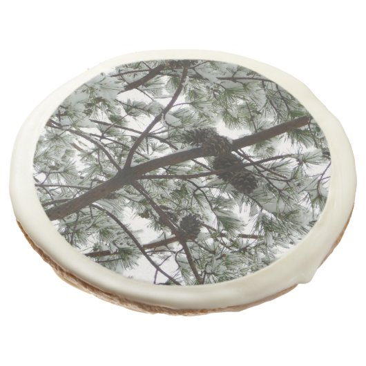 Underneath the Snow Covered Pine Tree Winter Photo Sugar Cookie (Angled)