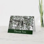 Underneath the Snow Covered Pine Tree Winter Photo Thank You Card