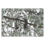 Underneath the Snow Covered Pine Tree Winter Photo Tissue Paper