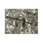 Underneath the Snow Covered Pine Tree Winter Photo Wood Poster