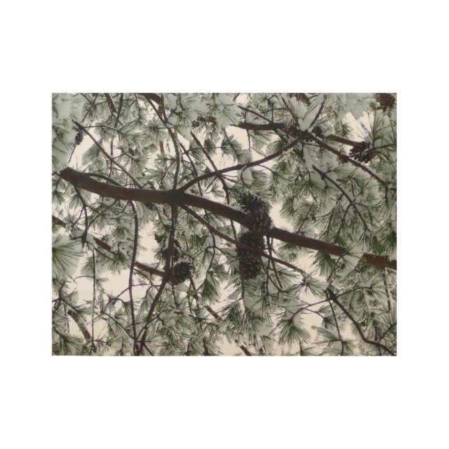 Underneath the Snow Covered Pine Tree Winter Photo Wood Poster (Front)