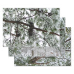Underneath the Snow Covered Pine Tree Winter Photo Wrapping Paper Sheets