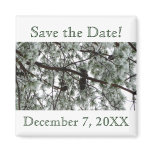 Underneath the Snow Pine Save the Date Magnet