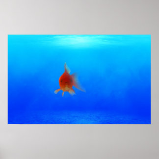 Undersea Aquatic Poster