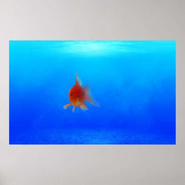 Undersea Aquatic Poster (Front)