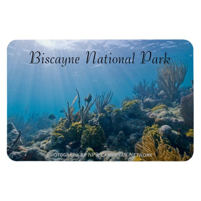 Undersea, Biscayne National Park Magnet (Horizontal)
