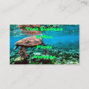 Undersea Tropical Sea Turtle Business Card