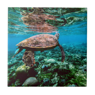 Undersea Tropical Sea Turtle Ceramic Tile