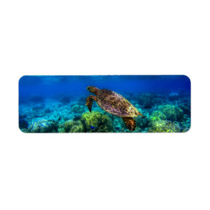 Undersea Tropical Sea Turtle Coral Label