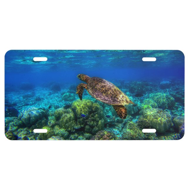 Undersea Tropical Sea Turtle Coral License Plate (Front)