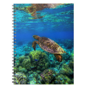 Undersea Tropical Sea Turtle Coral Notebook