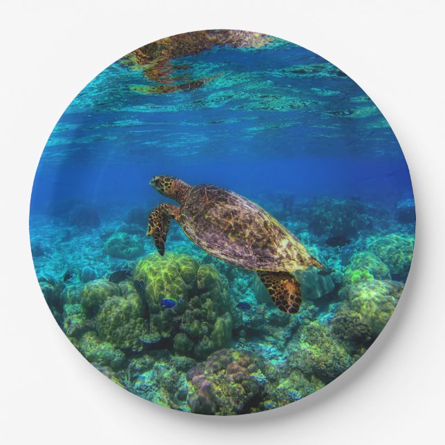 Undersea Tropical Sea Turtle Coral Paper Plates (Front)