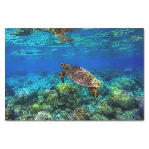 Undersea Tropical Sea Turtle Coral Tissue Paper