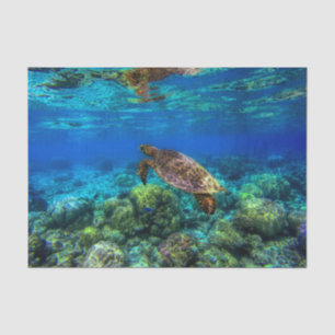 Undersea Tropical Sea Turtle Coral Tissue Paper