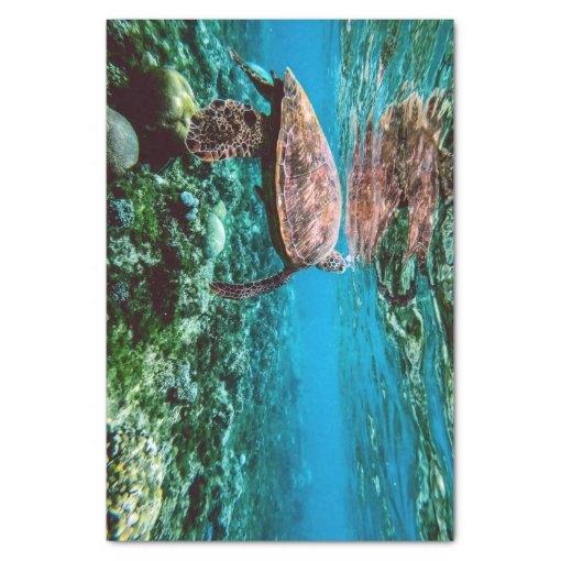 Undersea Tropical Sea Turtle Tissue Paper | Zazzle