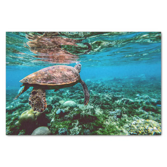 Undersea Tropical Sea Turtle Tissue Paper | Zazzle