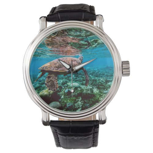 Undersea Tropical Sea Turtle Watch