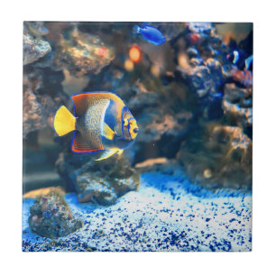 Undersea Vibrant Tropical Fish Coral Ceramic Tile