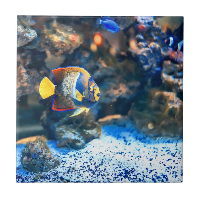 Undersea Vibrant Tropical Fish Coral Ceramic Tile (Front)