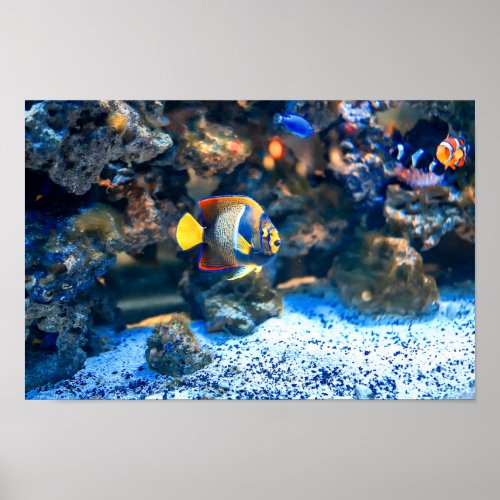 Undersea Vibrant Tropical Fish Coral Poster
