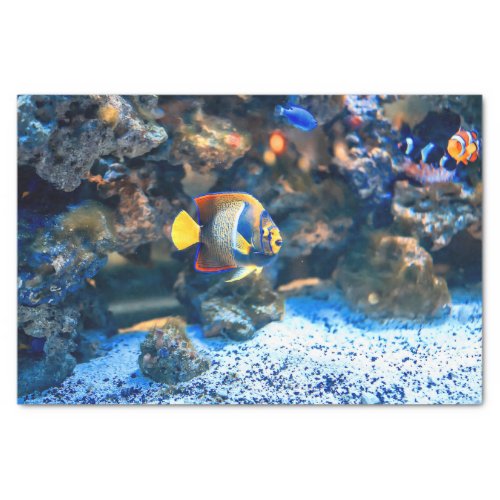 Undersea Vibrant Tropical Fish Coral Tissue Paper