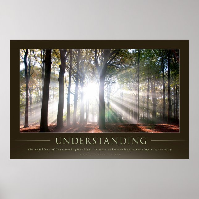 UNDERSTANDING - Christian Motivational Posters (Front)