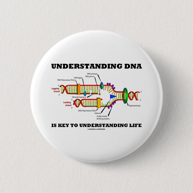 Understanding DNA Is Key To Understanding Life Button (Front)
