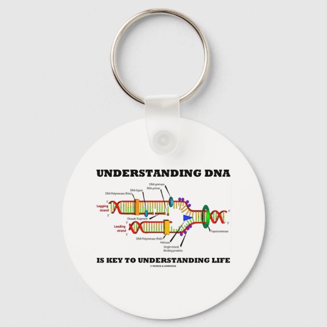 Understanding DNA Is Key To Understanding Life Keychain (Front)