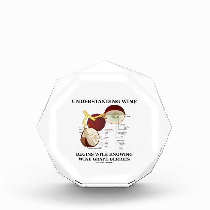 Understanding Wine Begins With Knowing Wine Grape Awards